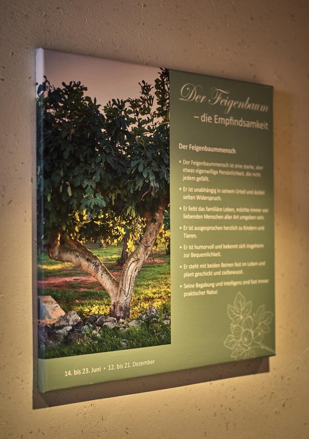 Zedernhof Gesundheits- & Wellnesshotel Stamsried 外观 照片