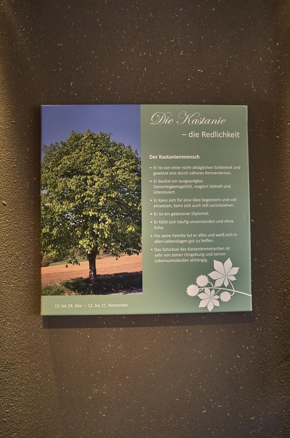 Zedernhof Gesundheits- & Wellnesshotel Stamsried 外观 照片